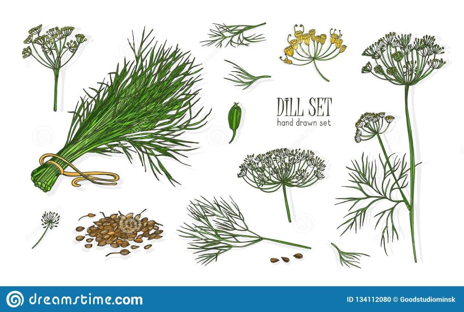 Укроп русский гигант 2г Гавриш