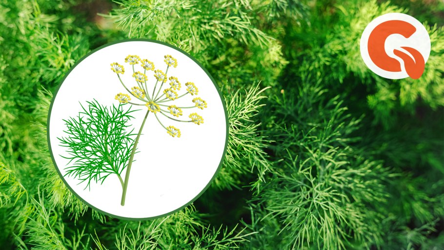 Бигуди BABYLISS Pro babts6gse