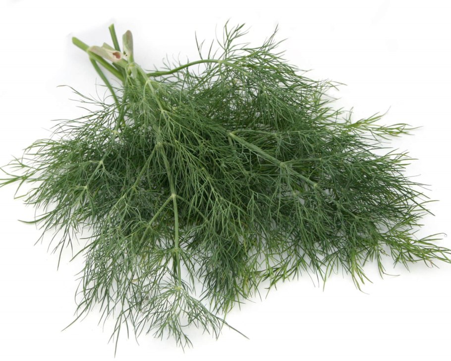 Укроп желтый 75см 420235