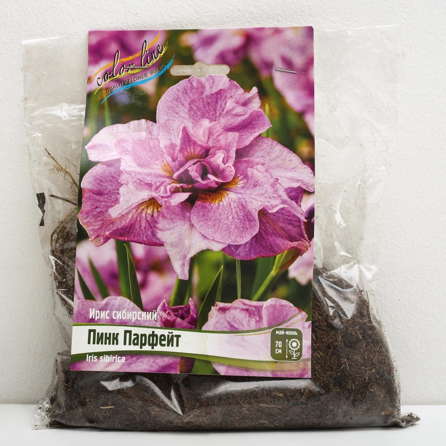 Ирис Пинк Парфе