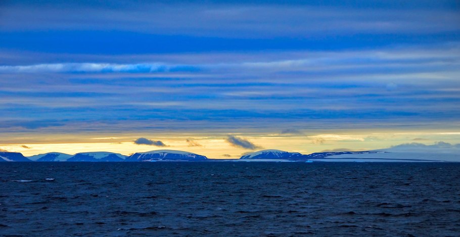 Земля Франца Иосифа моржи