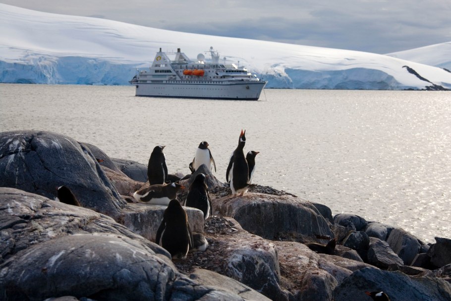 Франца Иосифа купол внутри