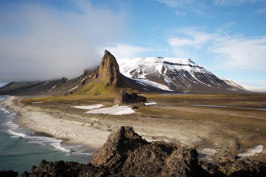 Камнеломка и Полярный Мак