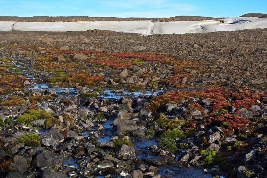 Экспедиция Франца Иосифа