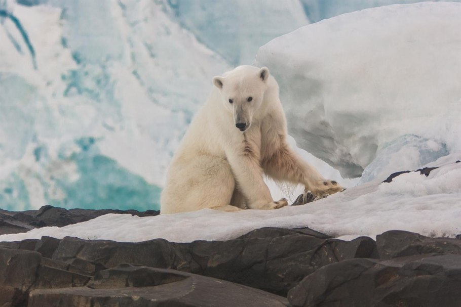 Зима на земле Франца Иосифа
