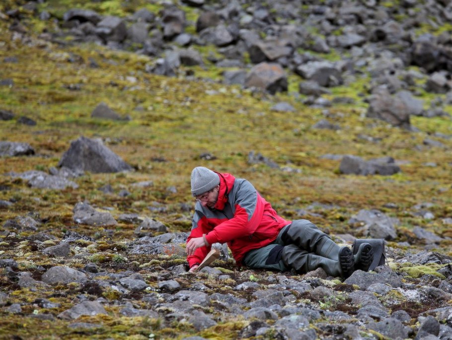 Аповедник «земля Франца-Иосифа»
