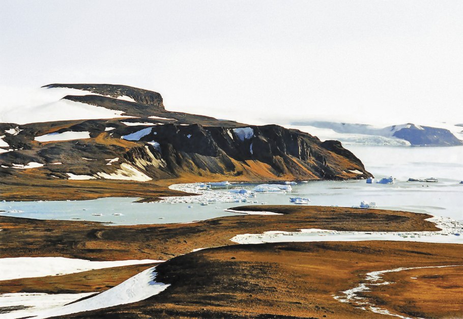 Земля Франца Иосифа животные