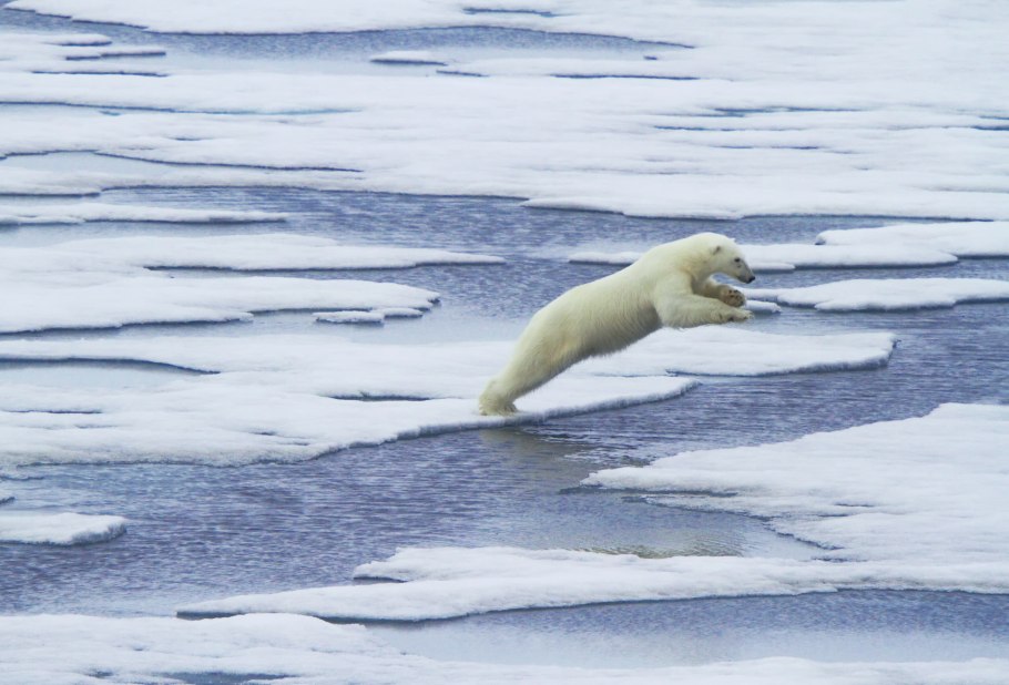 Заповедник земля Франца Иосифа
