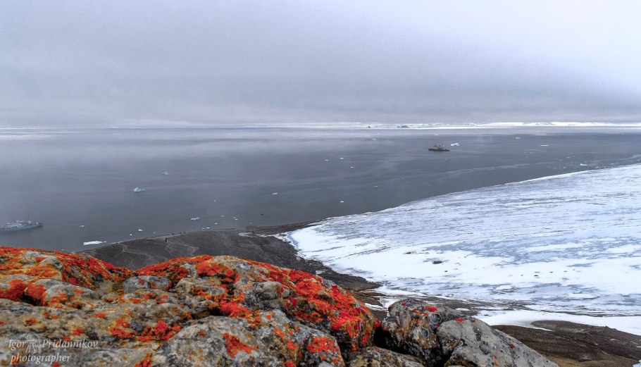 Природный заказник земля Франца-Иосифа