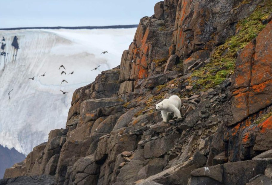 Земля Франца Иосифа