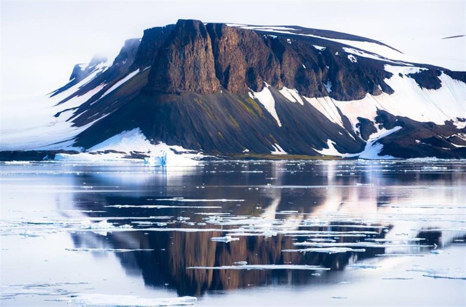 Животный мир архипелага земля Франца Иосифа