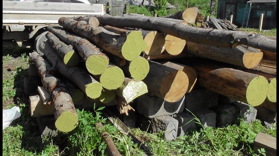 Хвойный сад Воловик