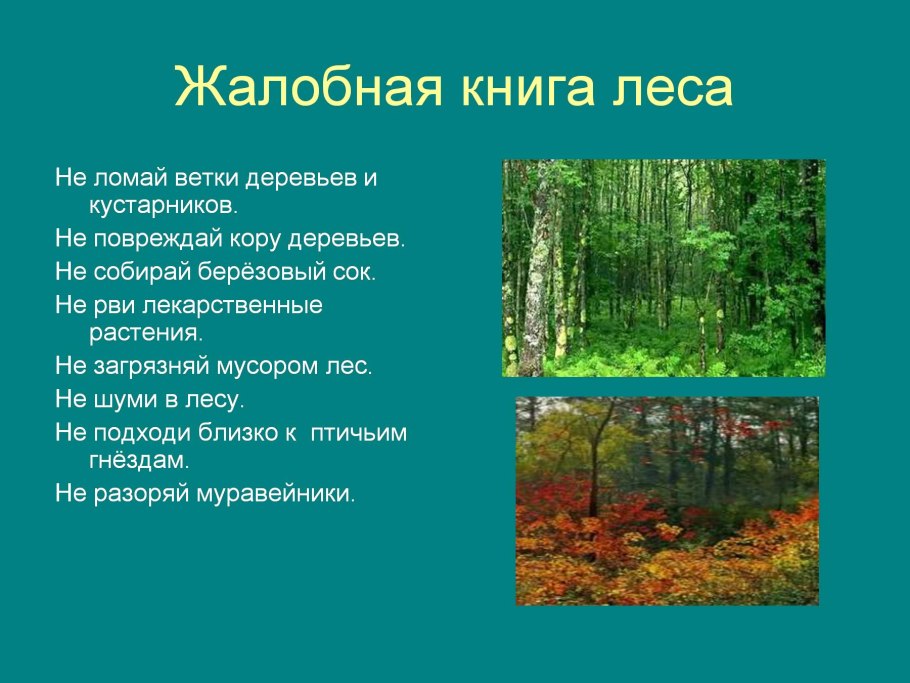 Сбор дикоросов