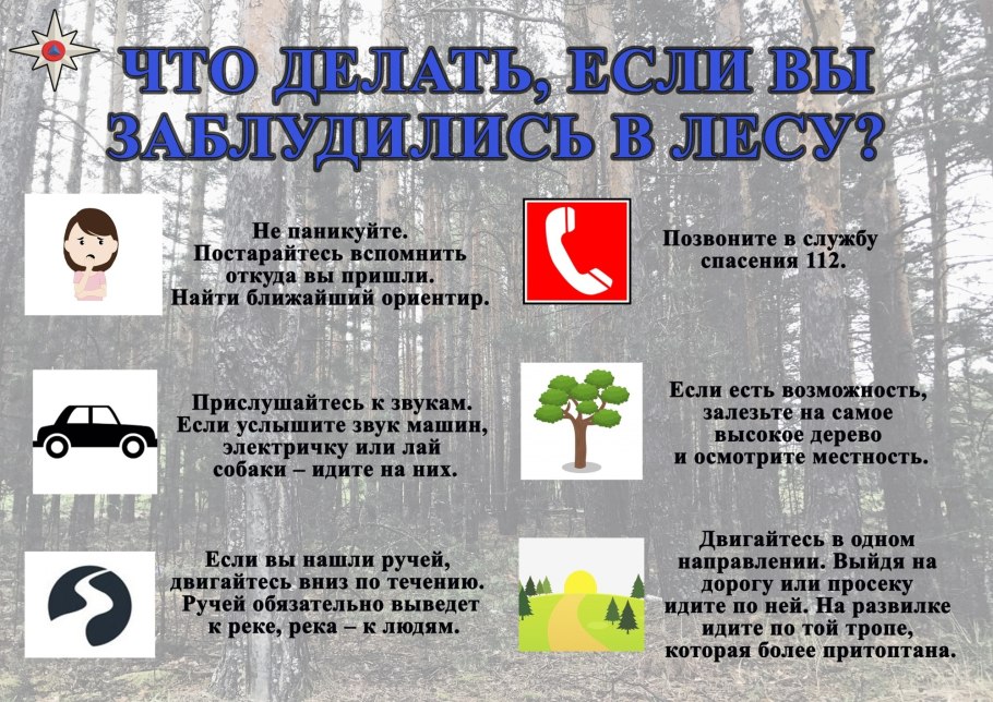 Тубелон мох