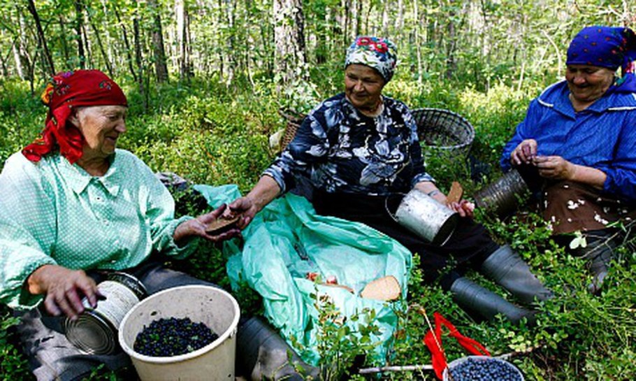 Мох болмос Грин