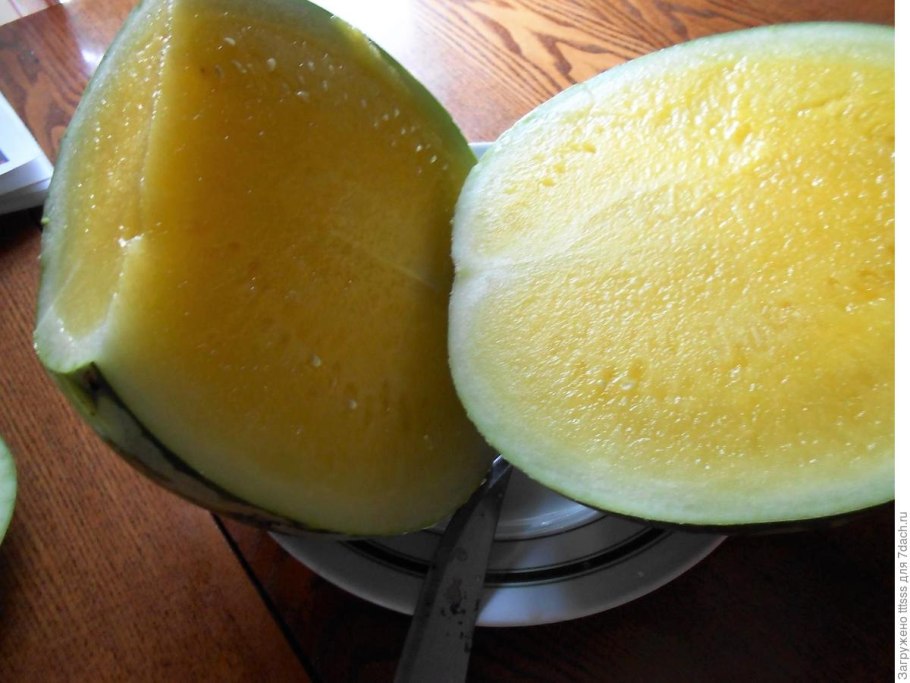 Семена Арбуз Лимончино f1