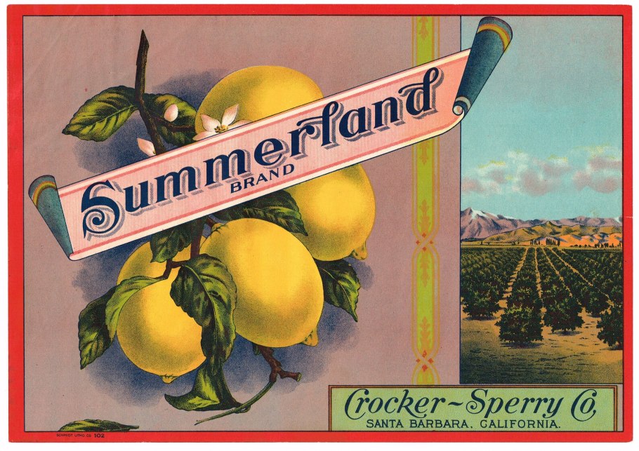 Арбузная дыня