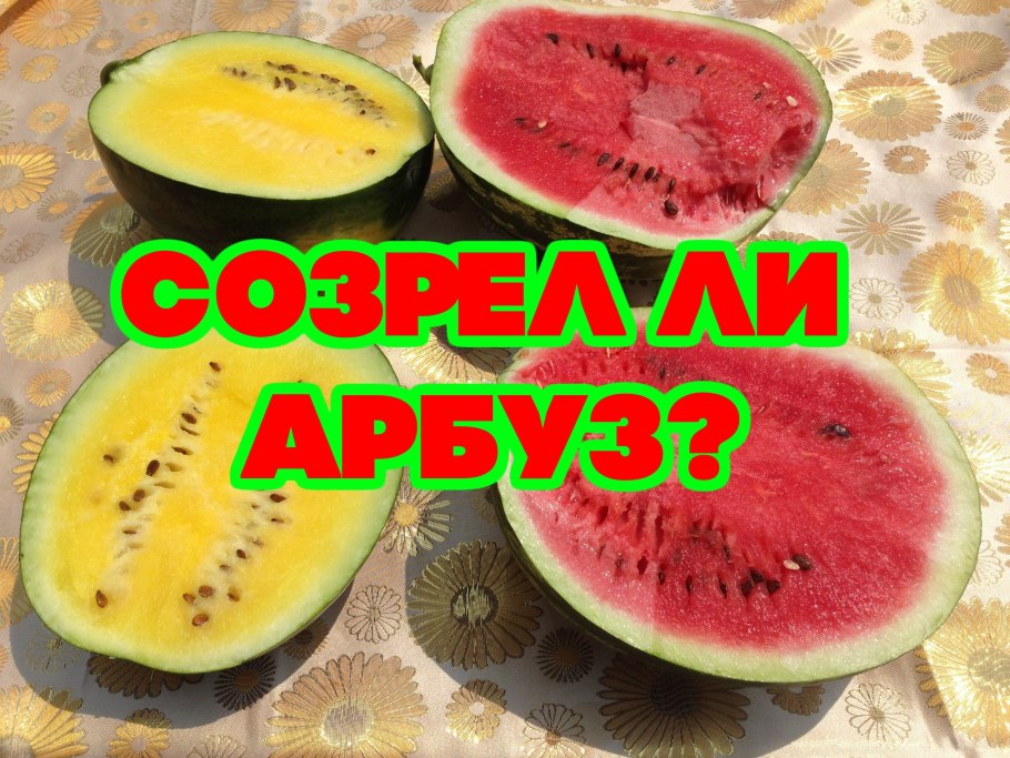 Арбуз таиландский желтый