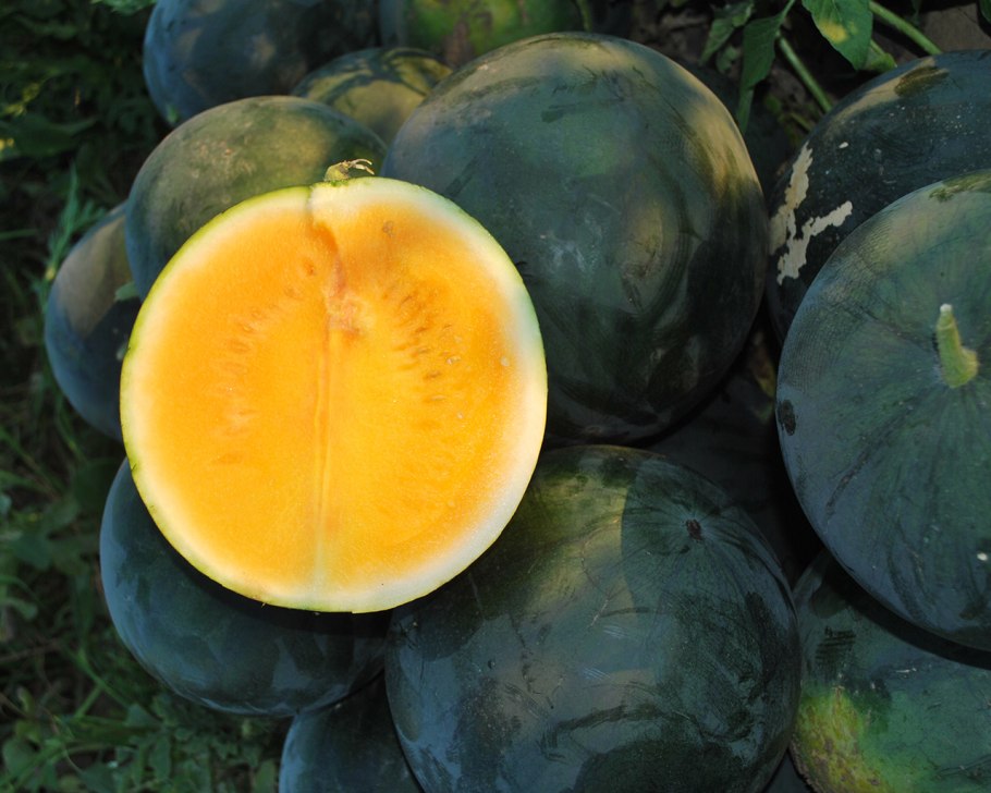 Амаретто Лимончелло