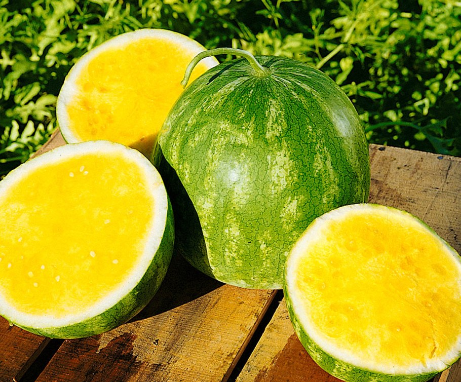 Семена арбуза Кримстар f1