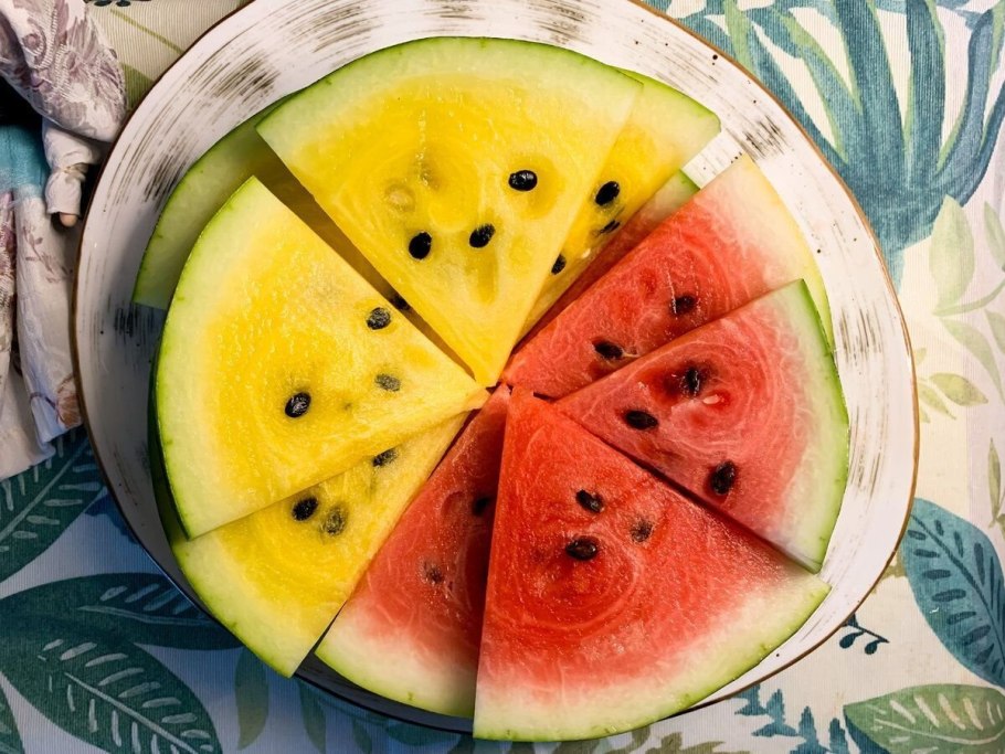 Вырос Арбуз на даче