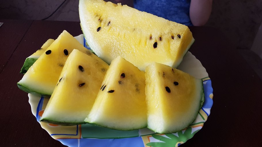 Стадии созревания арбуза