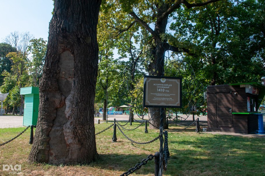 Ильинский дуб Чувашия