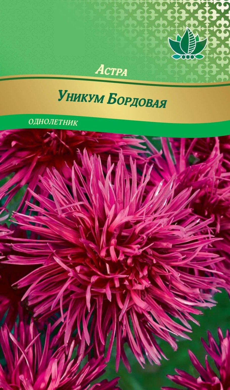 Астра игольчатая Уникум микс