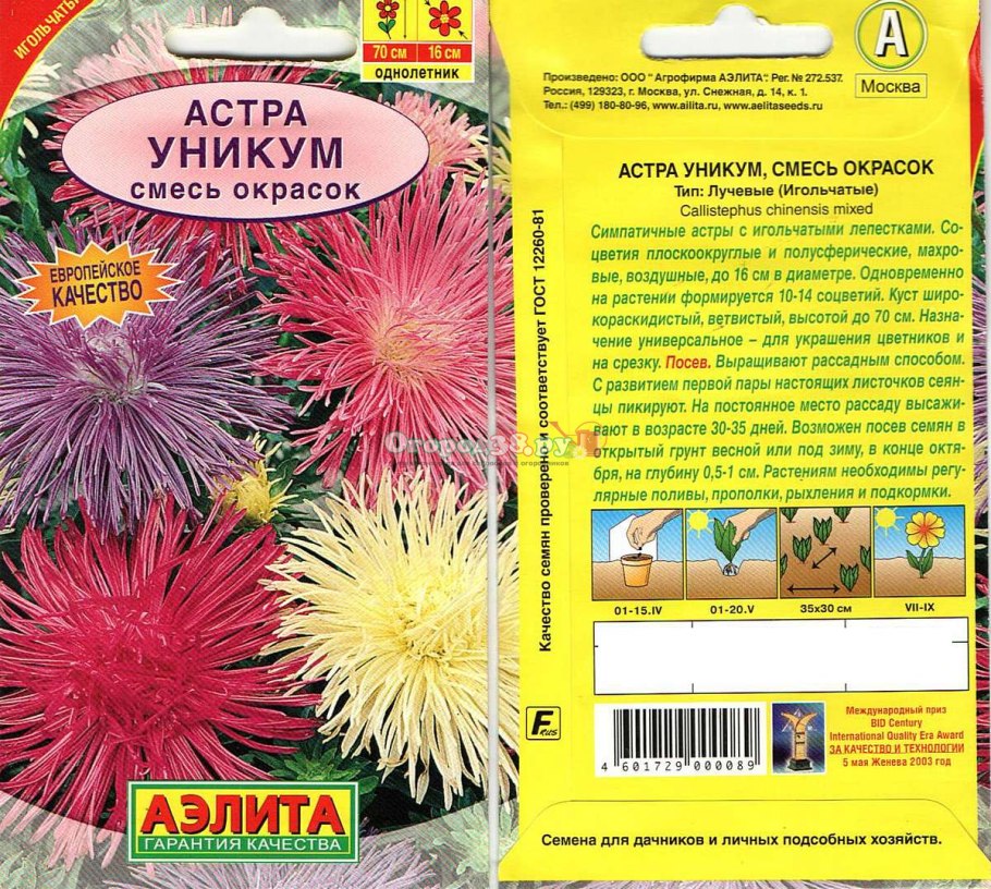 Астра Callistephus chinensis