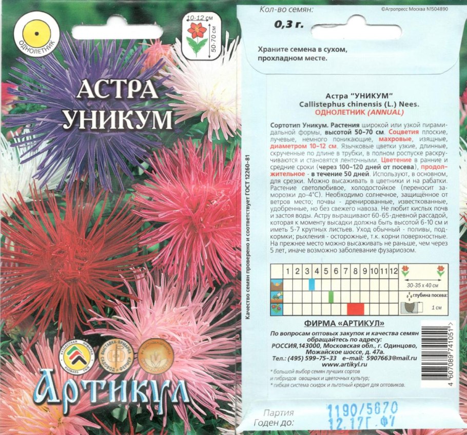 Астра однолетняя игольчатая