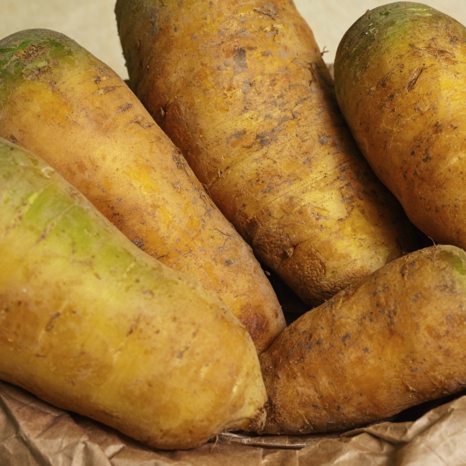 Желтая морковь