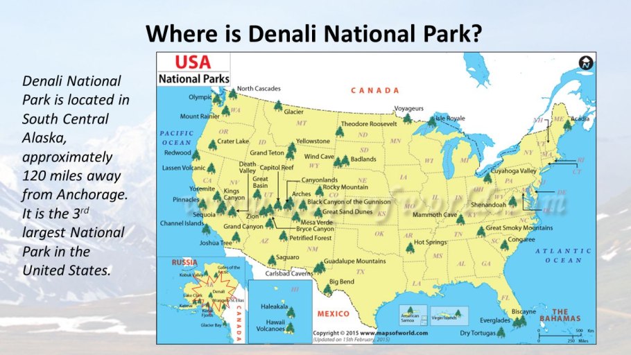 Томат Йеллоустоун