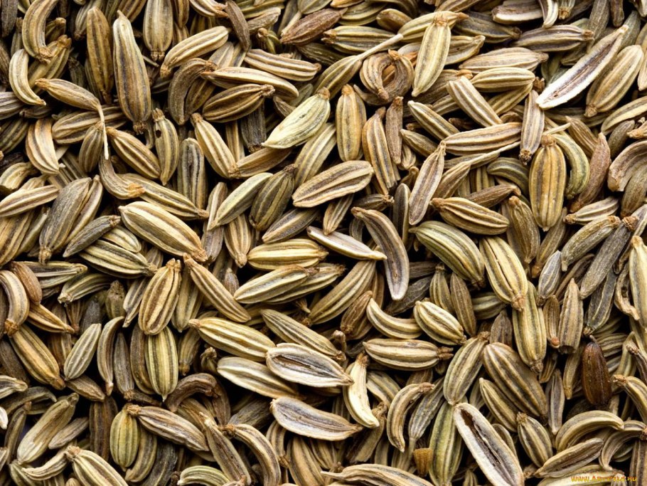 Фенхель вектор