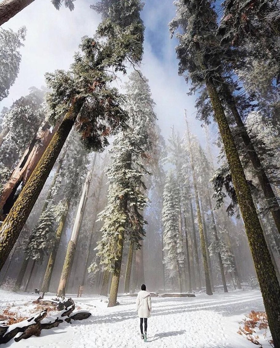 Национальный парк Секвойя в Калифорнии