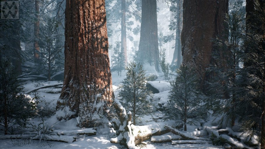 Дерево которому 3200 лет