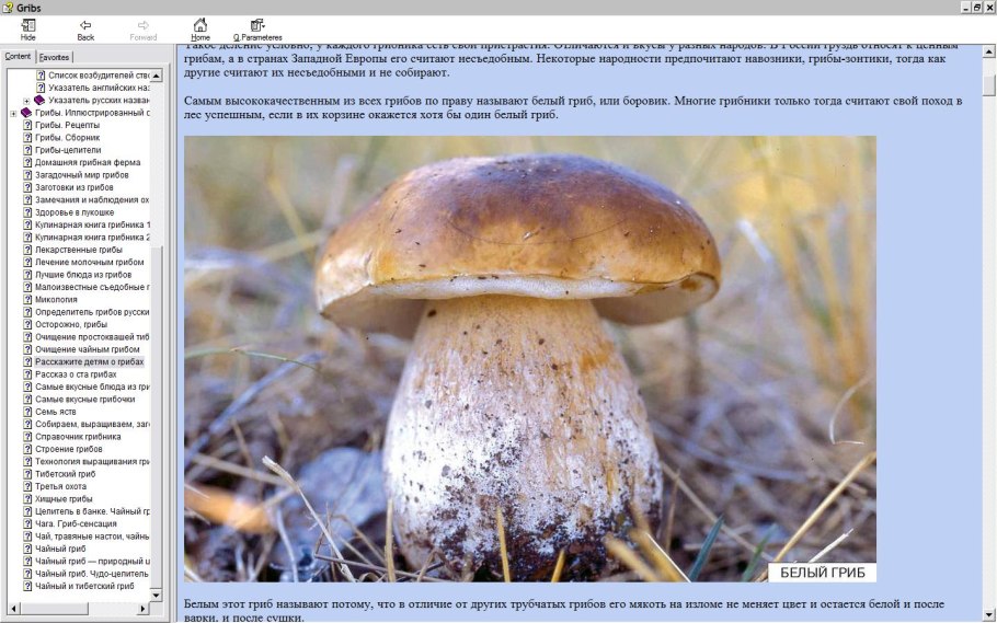 Характеристика молочного гриба