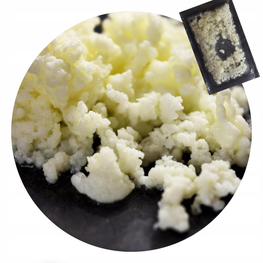 Тибетский молочный гриб