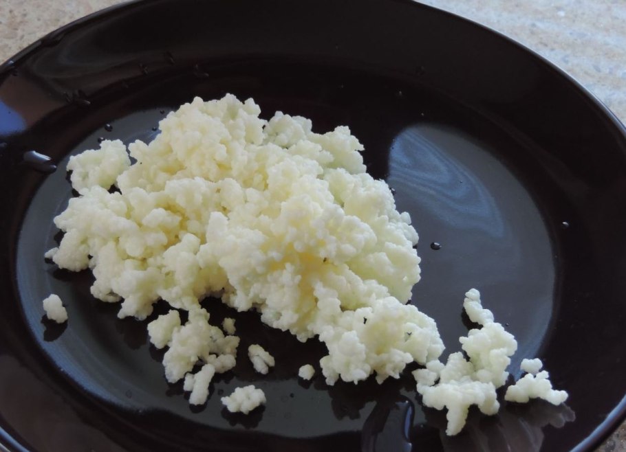 Тибетские молочные грибы