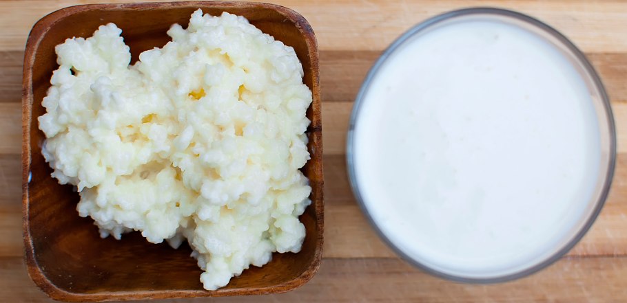 Грибы средней полосы России