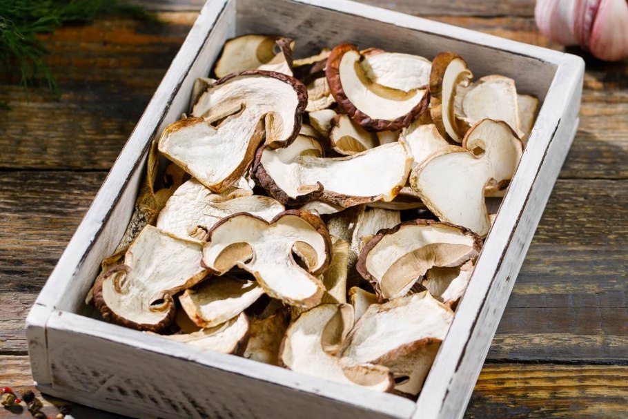 Белые грибы шампиньоны