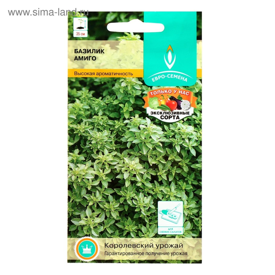 Мелколистный базилик «шалун»