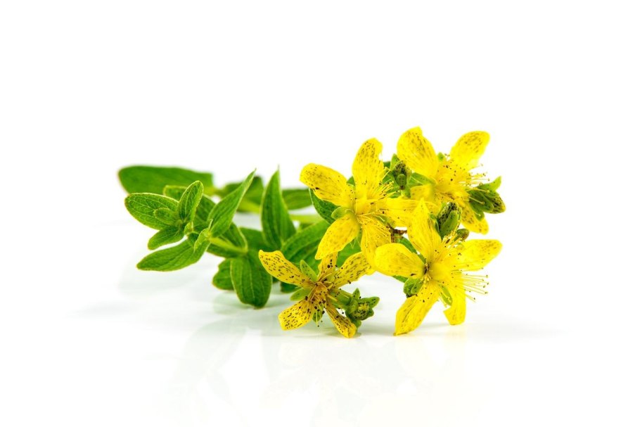 St. John 's Wort