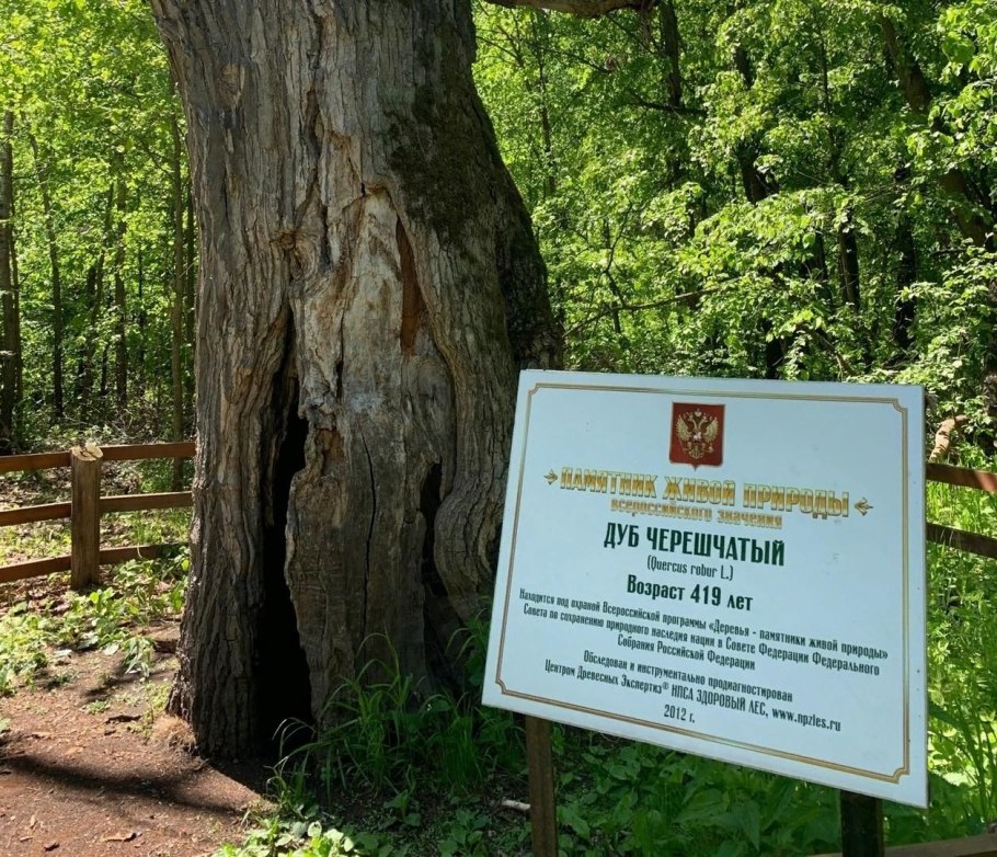 Гросбургведель