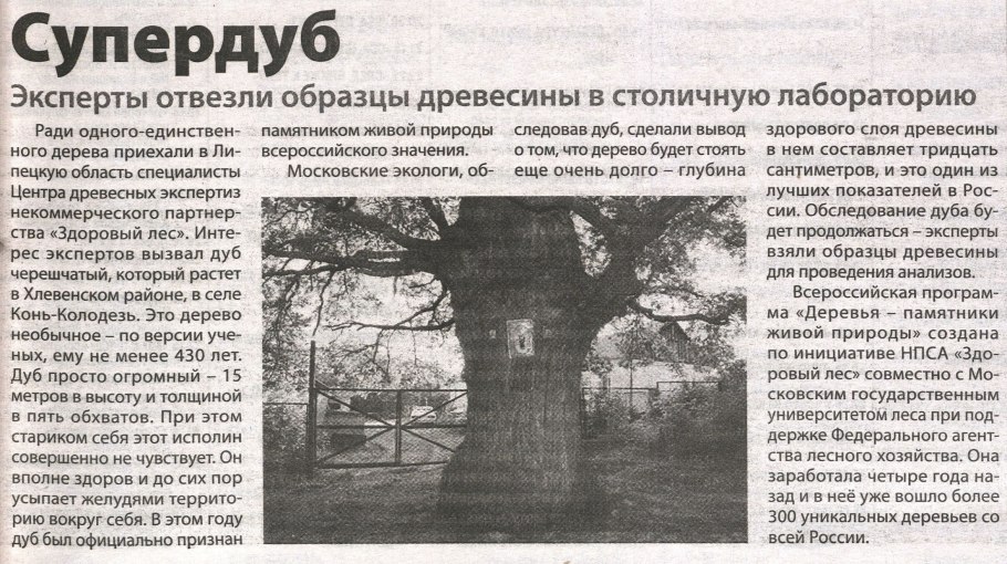 Сравнение высоты деревьев