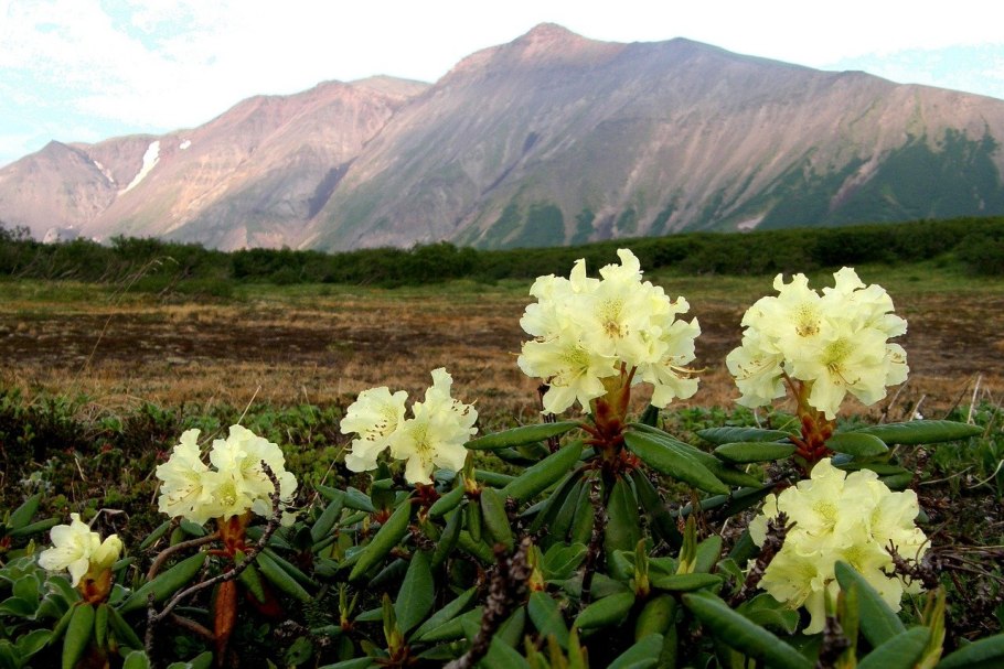Камчатский край Корякский заповедник