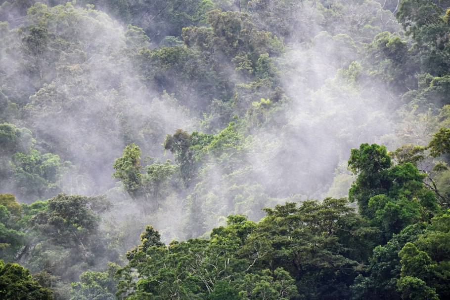 Национальный парк Эль-Юнке