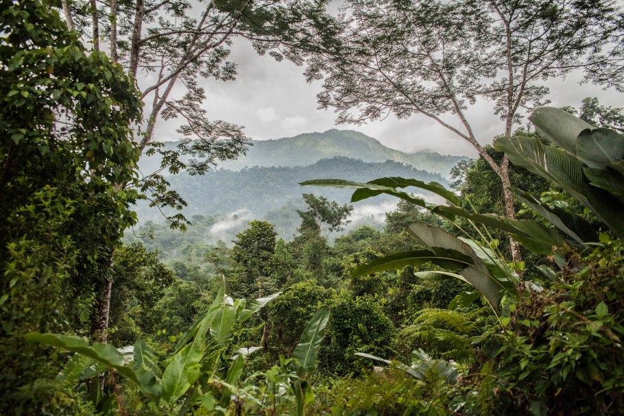 Монтеверде облачный лес, Коста Рика