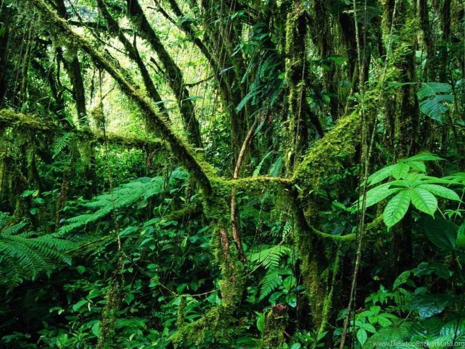 Национальный парк Дейнтри
