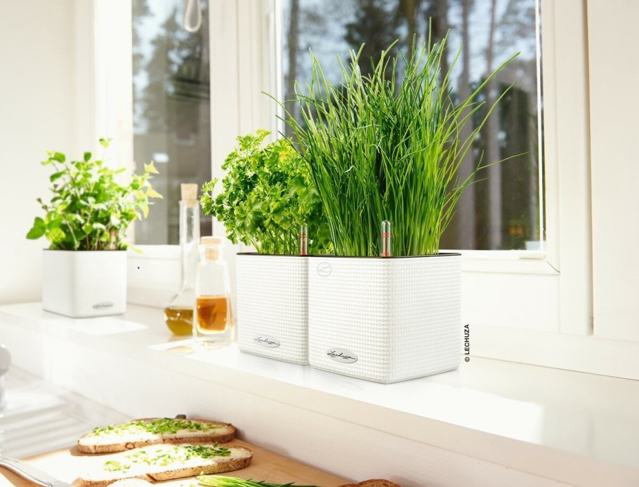 Lechuza кашпо Cube Color complete серый 14x14xh14см 13384