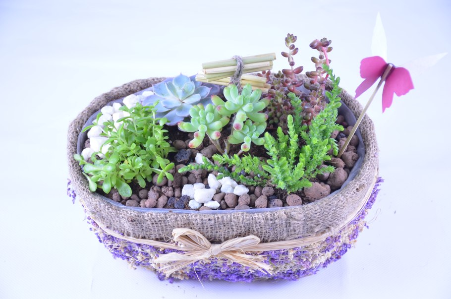 Удольфианский минисад